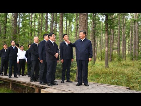 Xi Jinping inspecciona la Granja Forestal Mecánica de Saihanba