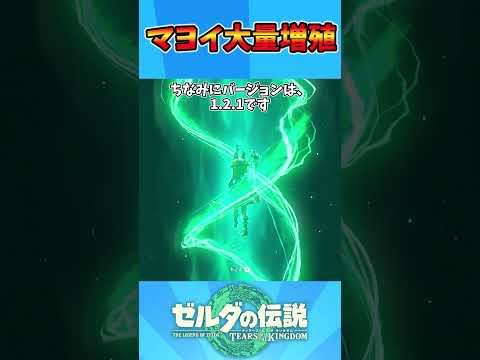 マヨイ大量増殖 #ティアキン