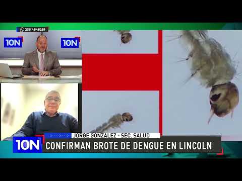 Confirman brote de dengue en Lincoln