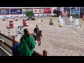 Show jumping horse 8 jarige springmerrie