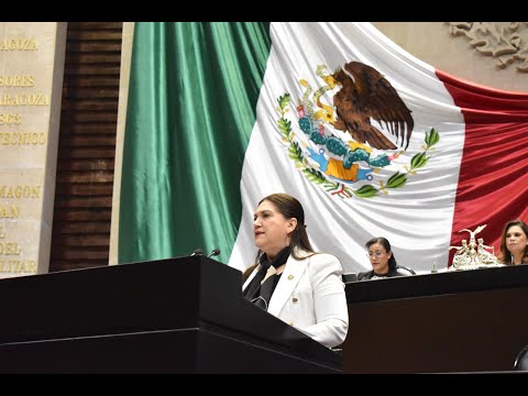 Dip. María de Jesús Aguirre Maldonado (PRI) / Presentación de iniciativa