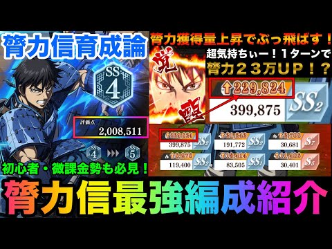 【キングダム頂天】１ターンで２３万ＵＰ！膂力獲得量上昇でここまで伸びる！？編成に迷ったらこれを見てください！膂力型「信」最強編成紹介（ポイント解説あり）【キングダム】