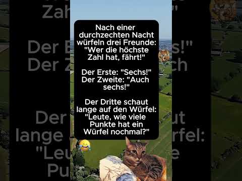 Der Mathe-Notfall 🎲🤣