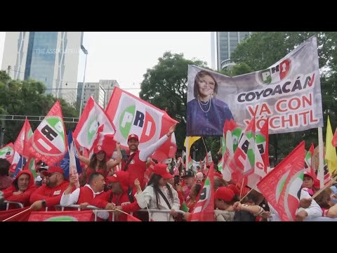 Mexico opposition picks presidential candidate