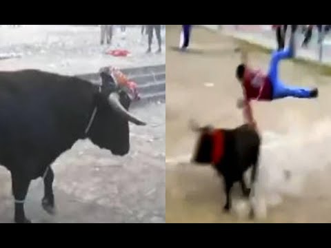 Ayacucho: Sujeto termina en UCI por toro loco suelto en plaza
