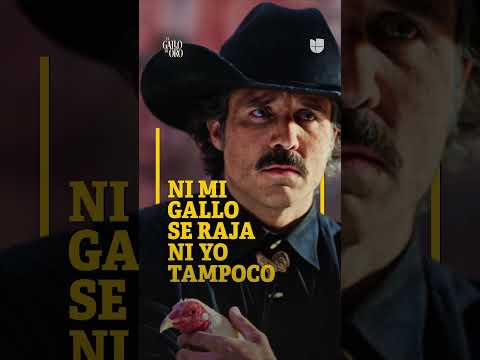 José Ron interpreta a Dionisio Pinzón en #ElGalloDeOro