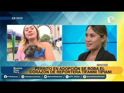 Reportera se quiebra al hablar sobre cómo adoptó a un perrito en una transmisión en vivo