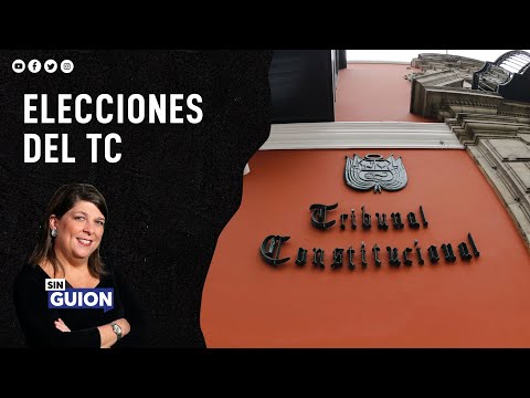 Rosa María Palacios:  Hasta ahora, lo que ha resuelto este nuevo TC ha sido a favor del Congreso