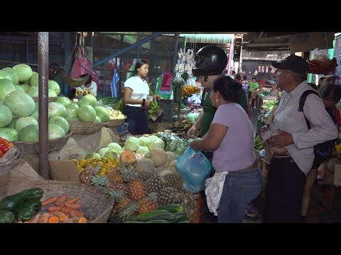 Frutas de temporada y verduras mantienen sus precios en el Mercado Iván Montenegro