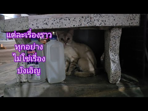 แต่ละเรื่องราวทุกอย่างไม่ใช่เ