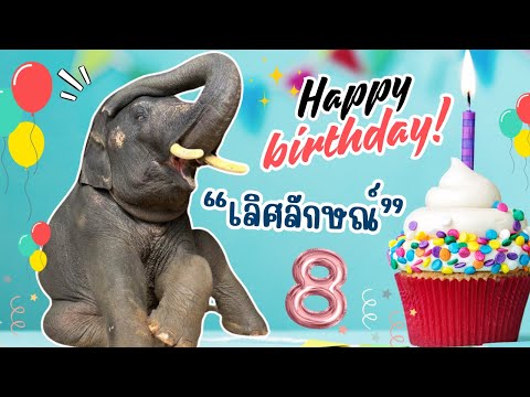 Elephant Thailand HBDบักเลิศ