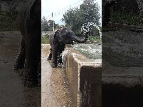 เสกสรร..สุดหล่อ♥️♥️🐘