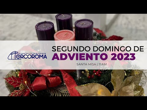 10 de diciembre 2023 |  Santa Misa Dominical | Enderecen los senderos del señor