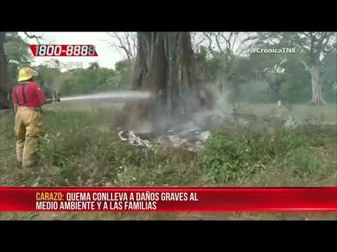 Despiadadas quemas de árboles, un peligro en San Marcos, Carazo - Nicaragua