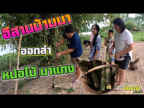 อีสานบ้านนา-|ออกล่า-หน่อไม้มาแ อีสานบ้านนา-|ออกล่า-หน่อไม้มาแ