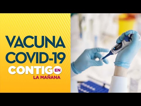 VACUNA: Así funcionarán la pruebas de Coronavirus en Chile - Contigo en La Mañana