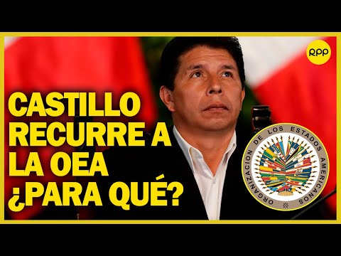 Denuncia contra Pedro Castillo: ¿La OEA podría beneficiarlo?