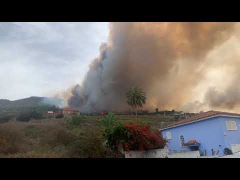 Nueva reactivación del incendio de Tenerife en Santa Úrsula