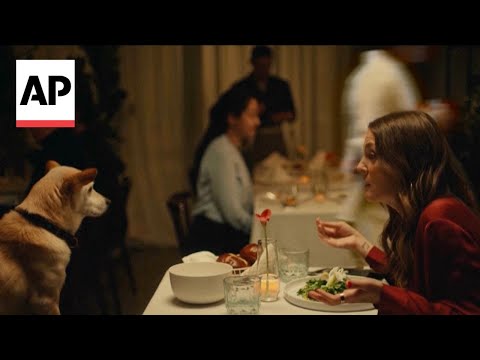 Drew Barrymore stars in ad with her dog