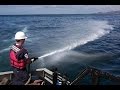 How BP screwed the Apalachicola Bay fishermen