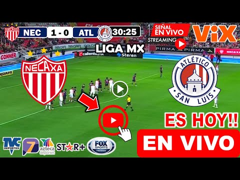 Necaxa vs. San Luis en vivo, donde ver, a que hora juega Necaxa vs Atlético San Luis Liga MX resumen