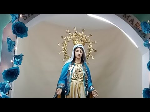 Santo Rosario PSJA Martes 8 de octubre de 2024