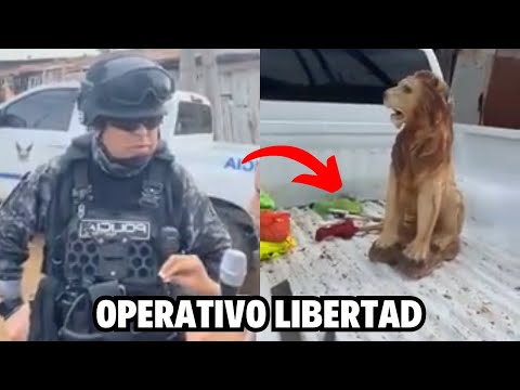 Policía allana 110 casas tras Operativo Libertad en Guayas