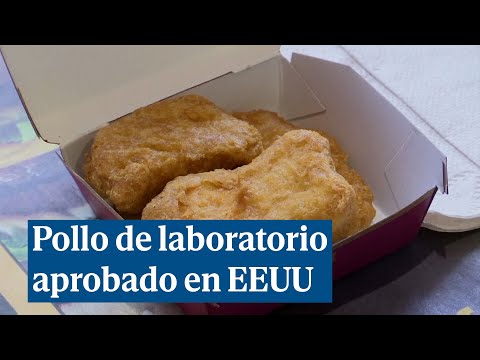 EEUU aprueba la venta de carne de pollo creada en laboratorio y el chef José Andrés hace un pedido