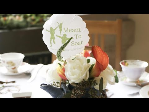 'Meant To Soar' works to help kids who have suffered worst forms of abuse, neglect | Forever Family