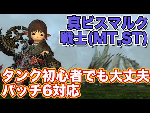 【FF14暁月】真ビスマルクに戦士(タンク)で挑戦【タンク初心者入門 パッチ6対応2023年版】