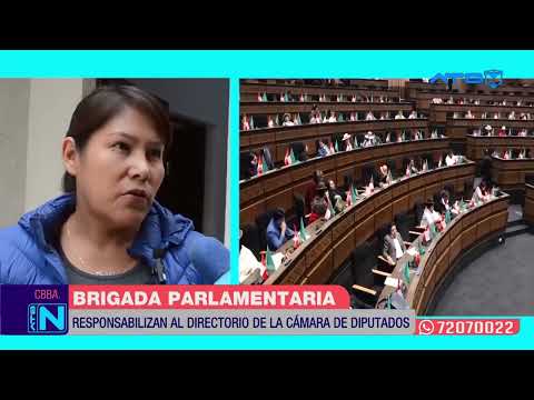 Brigada Parlamentaria de Cochabamba reprocha las actitudes tomadas en la Cámara de Diputados