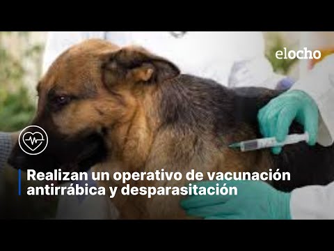 OPERATIVO DE VACUNACIÓN ANTIRRÁBICA Y DESPARASITACIÓN