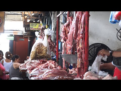 Producción de carne presenta un incremento del 6% en Nicaragua