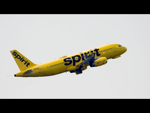 Spirit Airlines files for bankruptcy amid financial losses