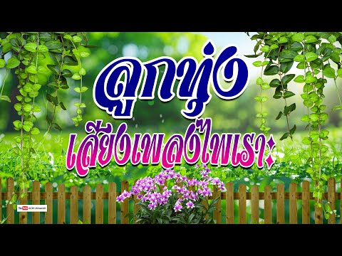 Achi chirawich channel ลูกทุ่งเสียงเพลงไพเราะยิ่งฟังยิ่งเพราะฟังแบบต่อเนื่อง