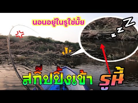เหยื่อยางกระโดดน้ำ-ทีเด็ดปลาช่ เหยื่อยางกระโดดน้ำ-ทีเด็ดปลาช่