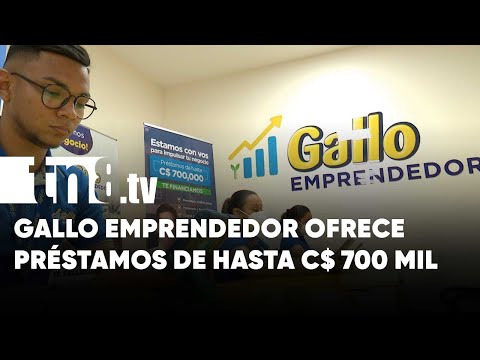 Gallo Emprendedor ofrece a negocios préstamos de hasta C$ 700 mil - Nicaragua