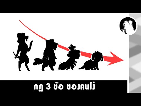 กฏ-3-ข้อ-ของคนโง่ กฏ-3-ข้อ-ของคนโง่