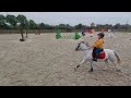 Allround-pony Lieve kinderpony