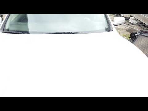 Seat Toledo 1999 m dalys