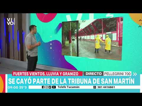 Como consecuencias de las fuertes ráfagas de viento hubo caída de ramas, carteles y cortes de luz