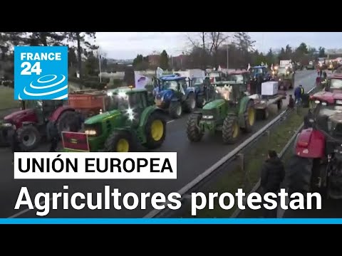 Las exigencias de los agricultores de Francia y otros países de la Unión Europea • FRANCE 24