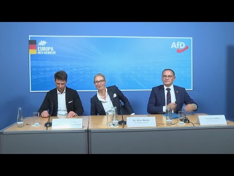 Germany's far-right AfD party calls for new elections