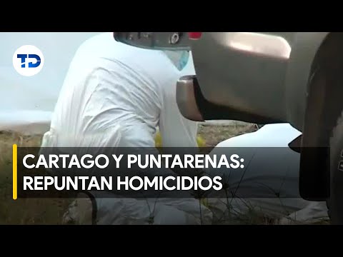 Repuntan los homicidios en Cartago y Puntarenas con relación al 2023