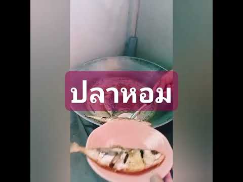 ปลาทูทอดเค็มหอมอร่อยแซ่บนัว