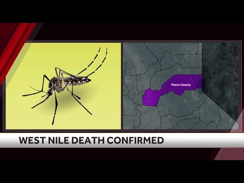 Northern California county confirms 1st West Nile virus death since 2018