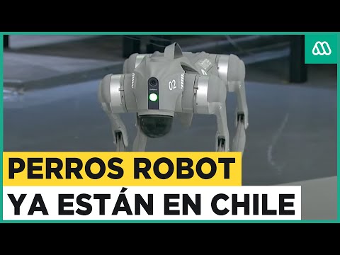 Perros robot ya están en Chile: Tecnología permite realizar mapeos con cámaras y ayudar en seguridad