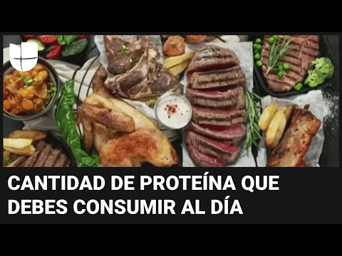 ¿Cuánta proteína debemos consumir al día? El Dr. Juan explica y da algunas recomendaciones