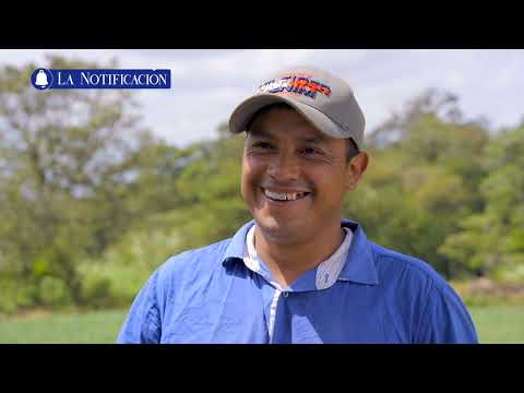 La Notificación TN8  Estelí: La Cuna del Puro Nicaragüense  - Sábado, 2 de marzo de 2024