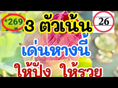 3ตัวเน้นเด่นหางนี้ให้ปังให